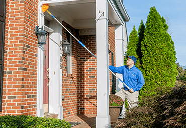 De Webbing Exterior Of Home