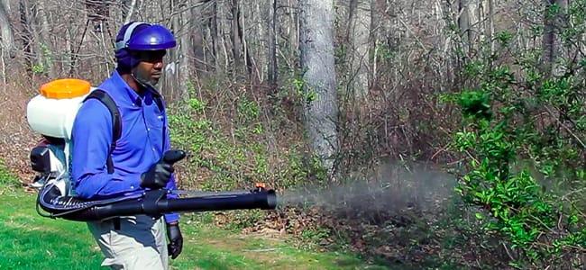 Mosquito Treatment Maryland