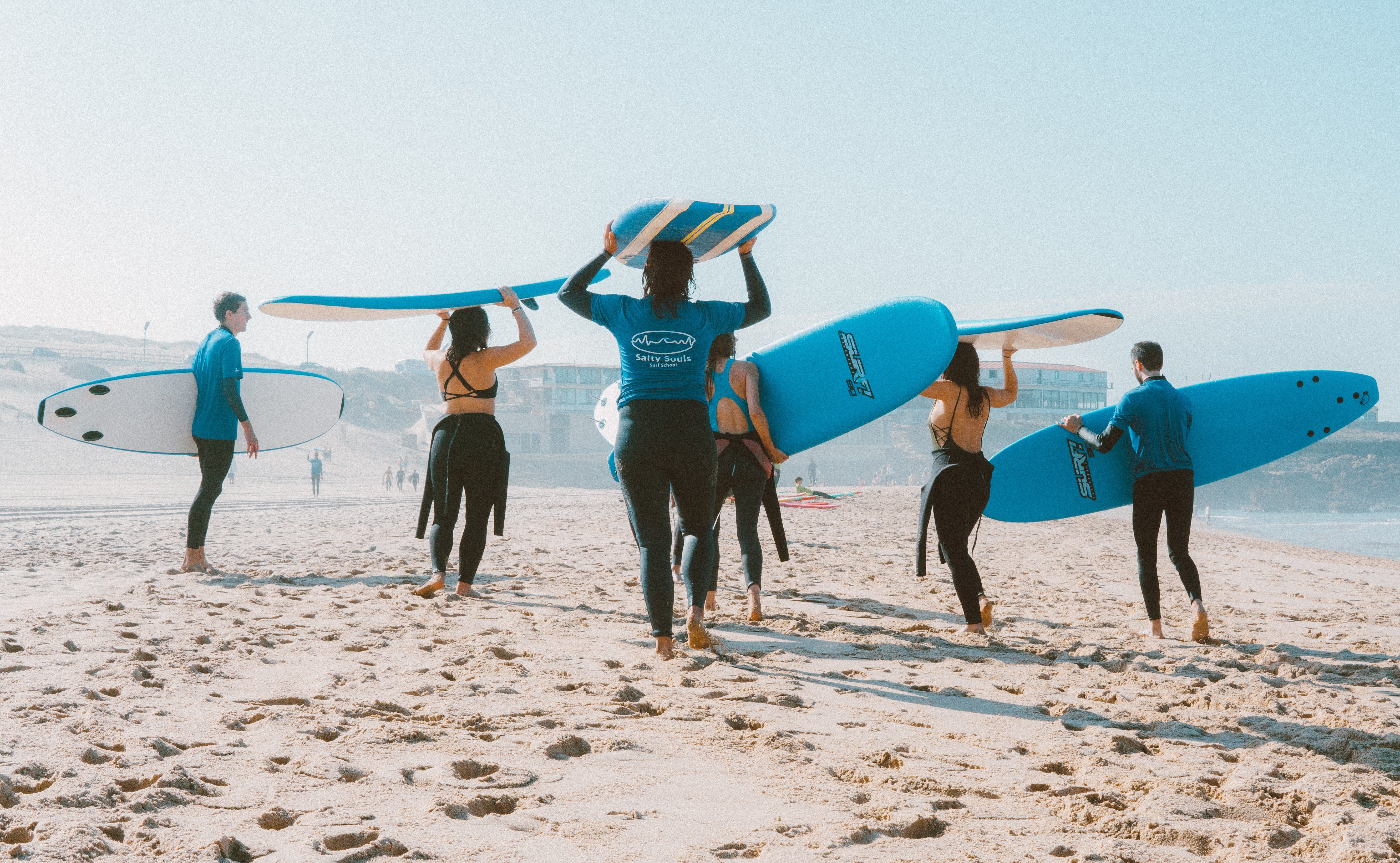 Bed Bugs At The Beach