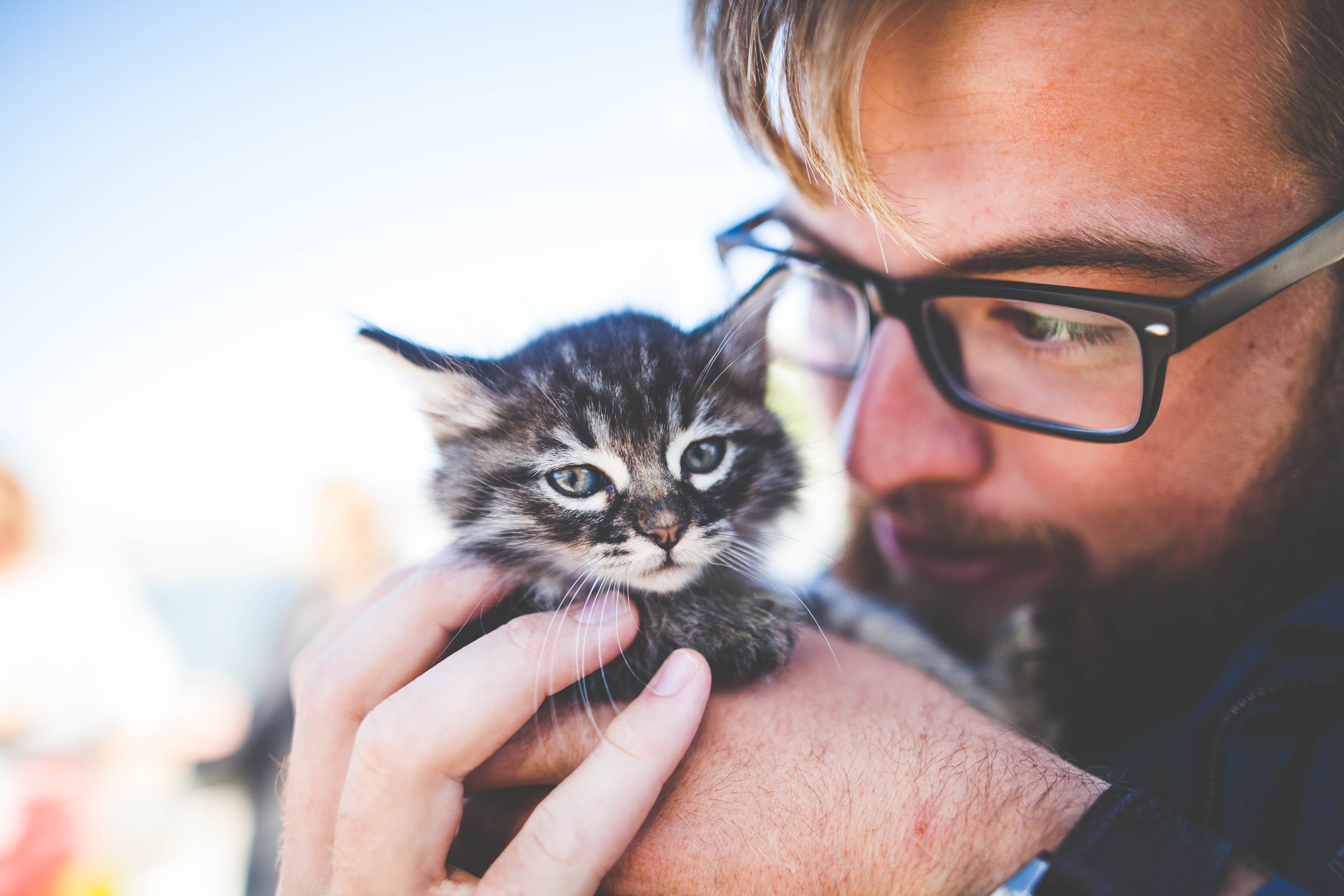 Petting And Holding Cat